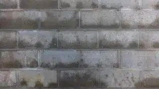 photo-1604177421038-9bdba34e78bd-3e7fc48a-320w